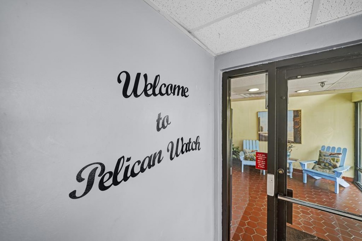 WELCOME TO PELICAN WATCH!