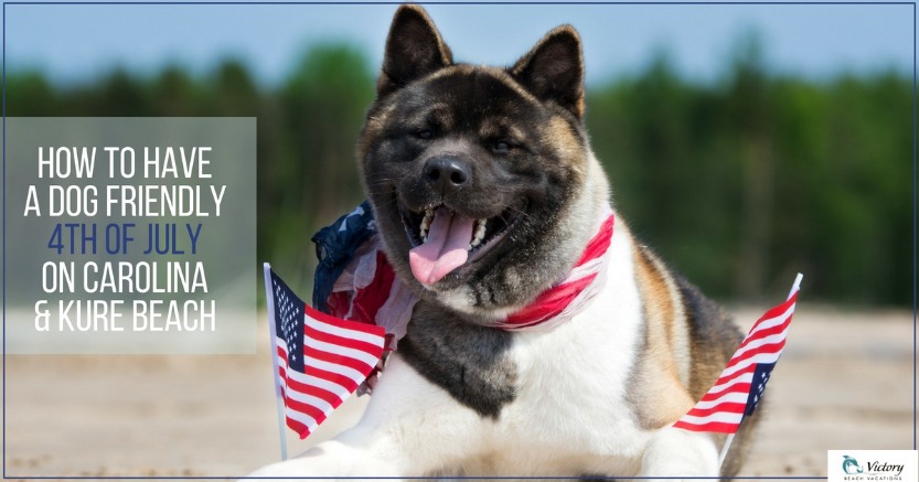 how to have a dog friendly 4th of july on carolina and kure beach