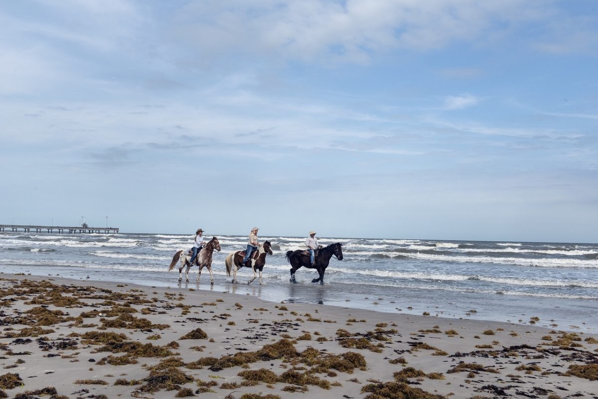 group horseback riding on the beach, ocean in background