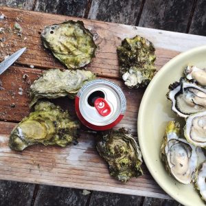 oysters and a can of soda on a table