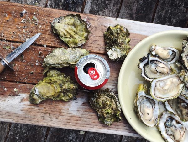 oysters and a can of soda on a table