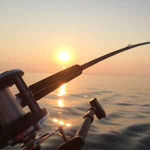 fishing pole on ocean sunset view